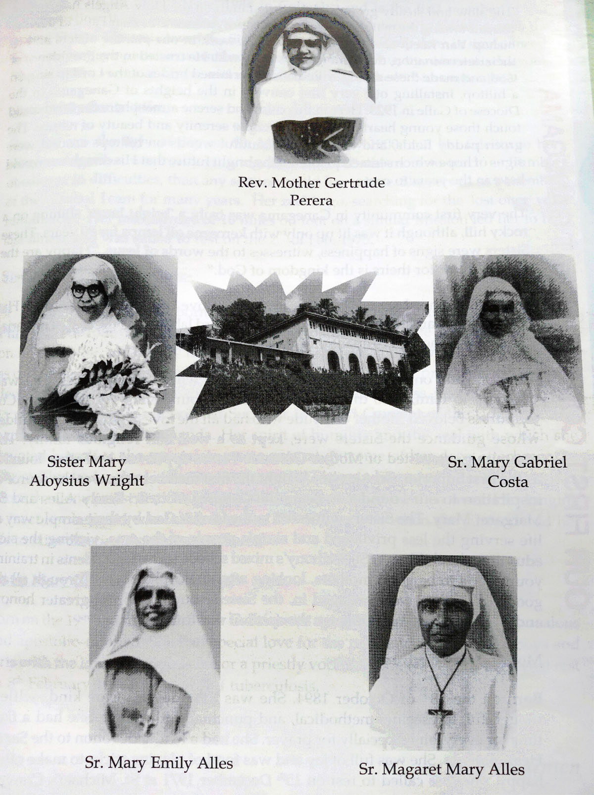 pioneer members pioneer members